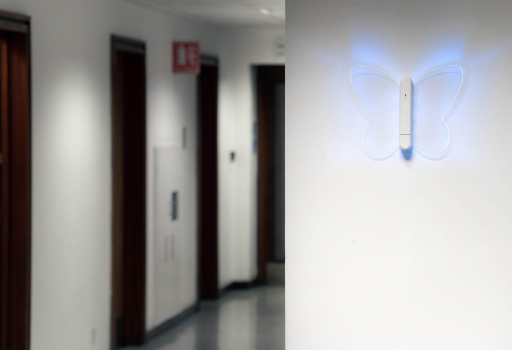 Morpho glowing in a hotel corridor